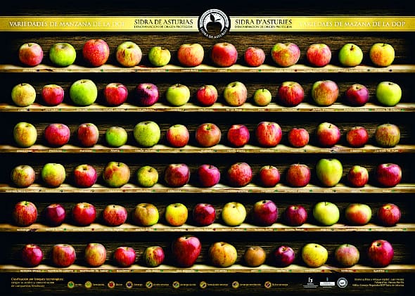 Variedades de manzanas asturianas